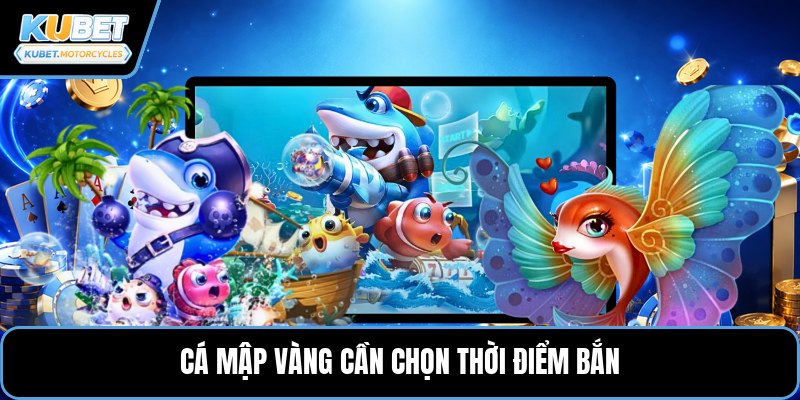 Cá mập vàng cần chọn thời điểm bắn