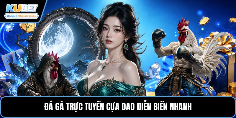 Đá gà trực tuyến cựa dao diễn biến nhanh