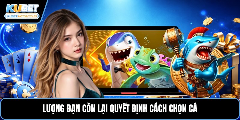 Lượng đạn còn lại quyết định cách chọn cá