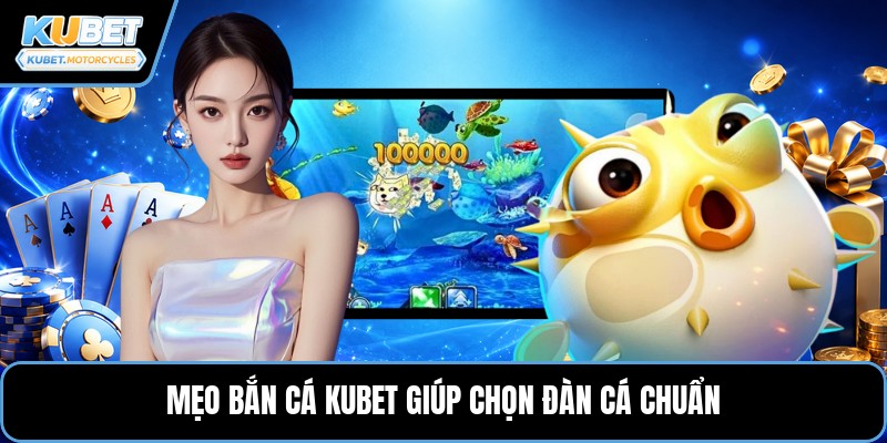 Mẹo bắn cá KUBET giúp chọn đàn cá chuẩn