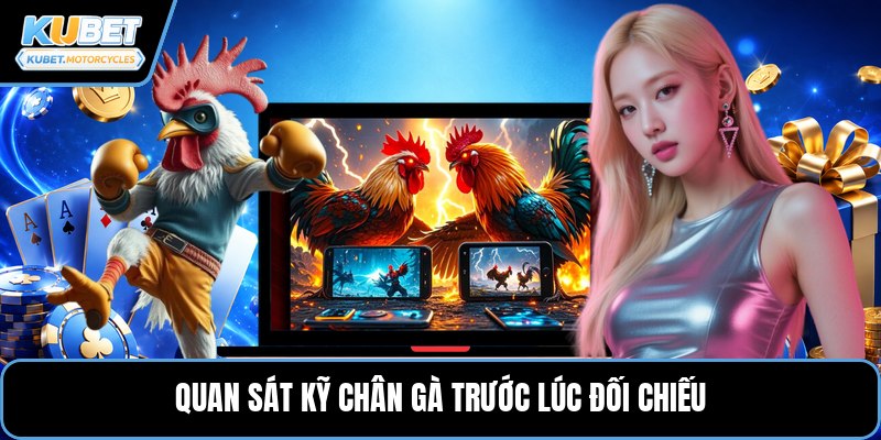Quan sát kỹ chân gà trước lúc đối chiếu