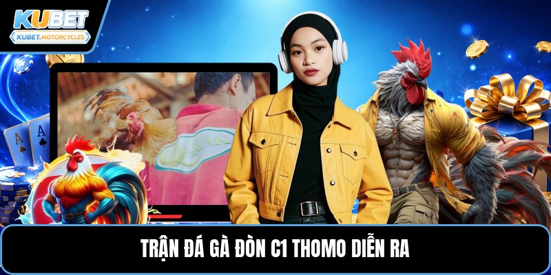 Trận đá gà đòn c1 thomo diễn ra