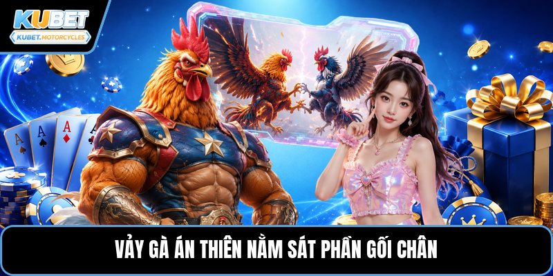 Vảy gà án thiên nằm sát phần gối chân