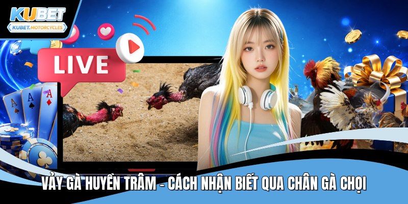Vảy gà huyền trâm
