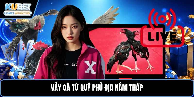 Vảy gà tứ quý phủ địa nằm thấp