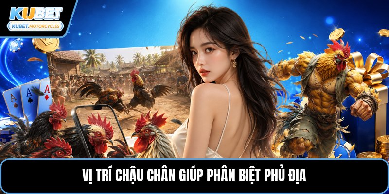 Vị trí chậu chân giúp phân biệt phủ địa